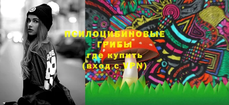 купить   Мглин  Псилоцибиновые грибы мицелий 